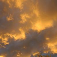 Avatar of BethRussel