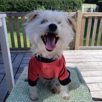 Avatar of Beverly Lloyd-Roberts