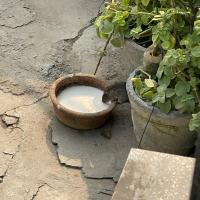 Avatar of Chelsi Jindal