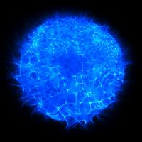 Avatar of Wendell Taylor