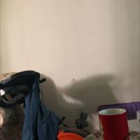 Avatar of Bigdavidio