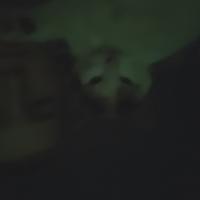 Avatar of Maiks Rozenbergs