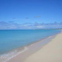 Billy Fellowes's avatar