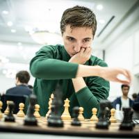 David Brodsky's avatar