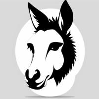 Avatar of Noneko cloudkicker