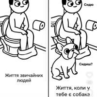 Avatar of Space Manager