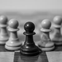 Vu Bui Thi Thanh Van's avatar