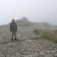 Avatar of Tim Wickens