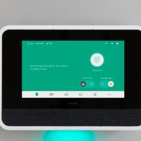 Avatar of Jimmy the cricket