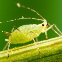 Daniel Rosenbecker's avatar