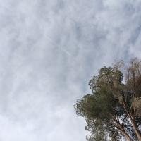 Avatar of blazzimith