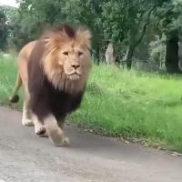 Grigory Ponomarenko's avatar