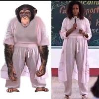 Avatar of blizzardofvegas