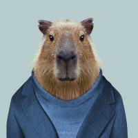 Avatar of Gus Huston