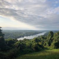 Avatar of bluedragos