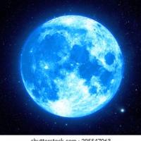 Avatar of Bluemoon4ever