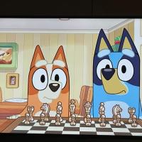 Avatar of BlueyHeelerGM