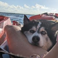 Avatar of bmwilson114