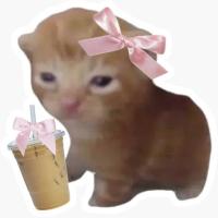 Avatar of BobaSolanum