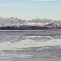 Avatar of BobLoblaw23