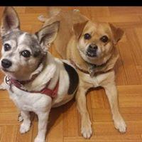 Oscar Romano's avatar