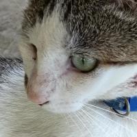 Briggith Posada Torres's avatar