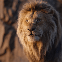 Shreyas Seshadri Nallore's avatar