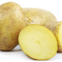 Avatar of bramborslav