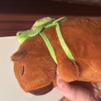 Avatar of David Martinez Lopez