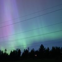 Avatar of Brandon Dailey