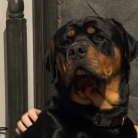 Avatar of brobinson64