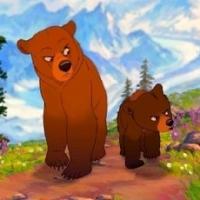 Marius Nicula's avatar