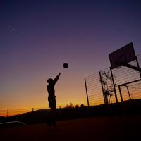 Avatar of Bruno Krieger