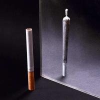 Avatar of cactus_jase