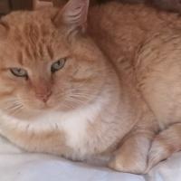 Caissa20188's avatar