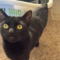 Avatar of Caleb Baker