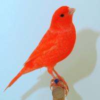 Natalie Wisniowski's avatar