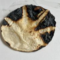 Avatar of caneloTJ664