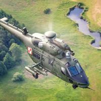 Avatar of Capercaillie-Driver