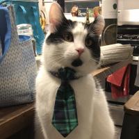 Avatar of Jared Gates