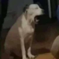 Avatar of Carlos Caballero