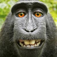 Avatar of Carlos Miguel