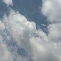 Avatar of Uriel Zamora