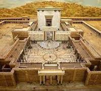 Avatar of Yung Carter