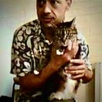 Avatar of Tai Packer