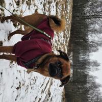 Avatar of Catherine_bel