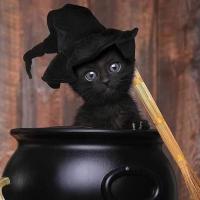 Michal Walentukiewicz's avatar