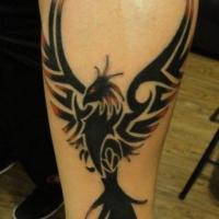 Cesar Castro Gutierrez's avatar