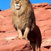 Avatar of Alfonso Forero