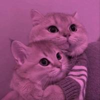 Chahrazad Djerroud's avatar